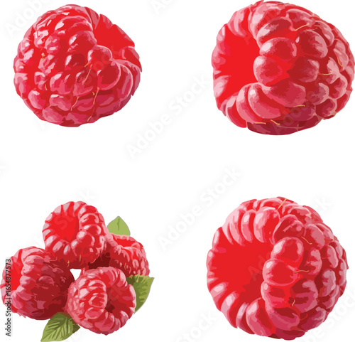 Four red raspberries with green leaves on white background