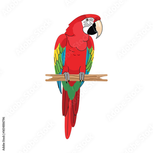 A vibrant, cartoon illustration of a red macaw perched on a wooden branch.