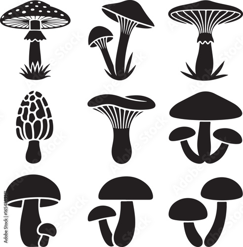 Mushroom Silhouettes Including Amanita Morels And Chanterelles fungi toadstool