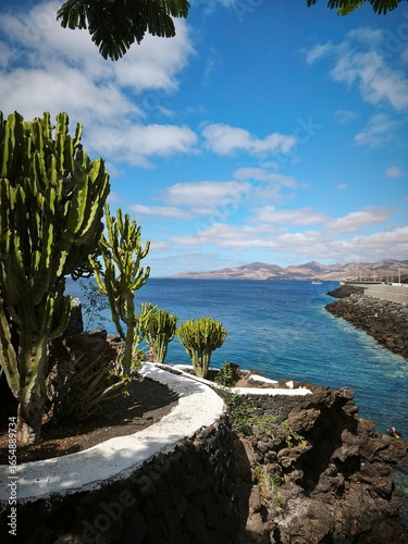 Beach of Lanzarote, great landscape coast - Canary Islands