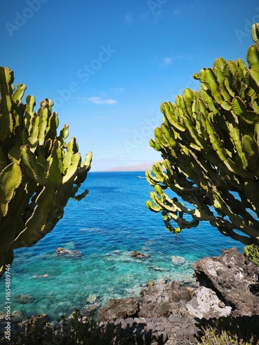 Beach of Lanzarote, great landscape coast - Canary Islands