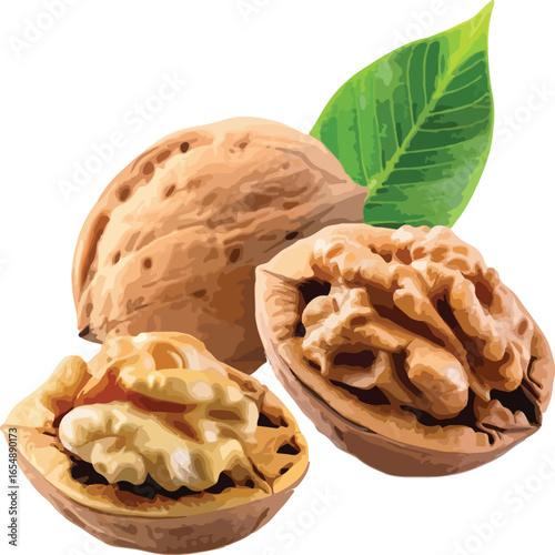 Whole and cracked walnuts with green leaf food healthy eating