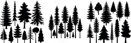 Forest of Christmas fir trees silhouette. Coniferous spruce panorama. Park of evergreen wood. Vector on white background