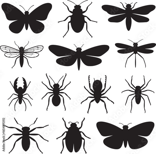 Insect and Bug Silhouettes Collection Butterfly Moth Ant Spider Beetle vector illustration