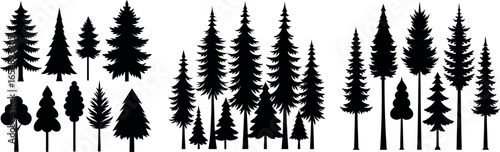 Majestic forest silhouette diverse trees nature scene