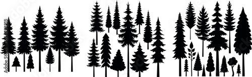Forest of Christmas fir trees silhouette. Coniferous spruce panorama. Park of evergreen wood. Vector on white background