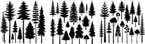 evergreen pine tree silhouettes for forest and nature designs