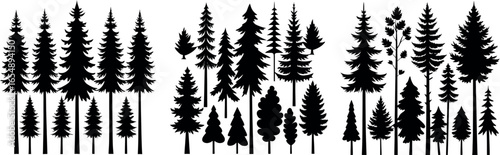 evergreen pine tree silhouettes for forest and nature designs