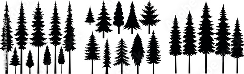 evergreen pine tree silhouettes for forest and nature designs