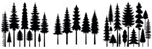 Vector Set of Canadian Pine, Spruce, Fir and Cedar Tree Silhouettes – Coniferous Forest Collection on White Background, Bundle for T-Shirt, Poster and Nature Design