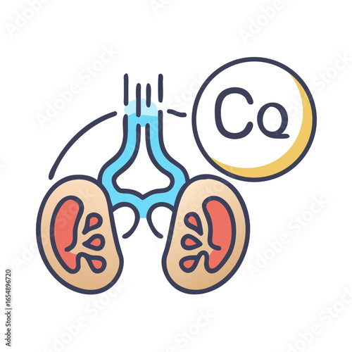 Anatomical illustration of kidneys with calcium symbol for medical usage