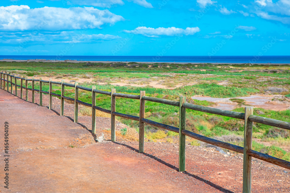 Fototapeta premium Wooden fence runs along a coastal path overlooking green fields and blue ocean under a partly cloudy sky. Scene captures natural beauty and tranquility of Canary Islands shoreline