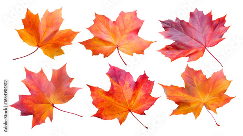 Set of autumn bright maple leaves from different color on the transperent background. Simple yellow, red, orange fall leaf set for pattern, banner, sticker, and autumn card.  AI generation