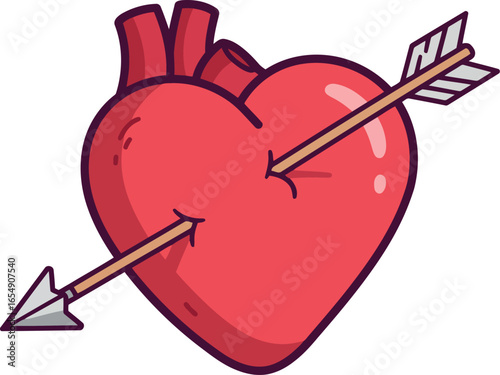 Stylized red anatomical heart pierced diagonally by a cupid s arrow with fletching and arrowhead