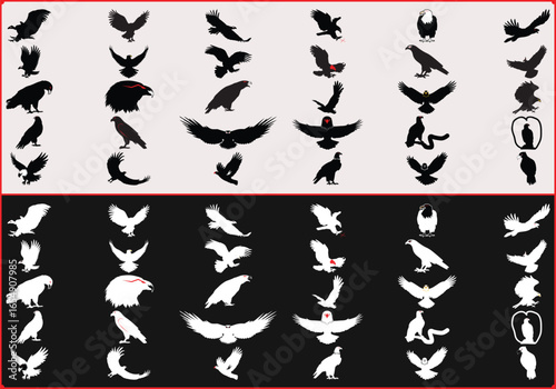 A compilation of eagle silhouettes in black and white with varying poses and wing positions shown