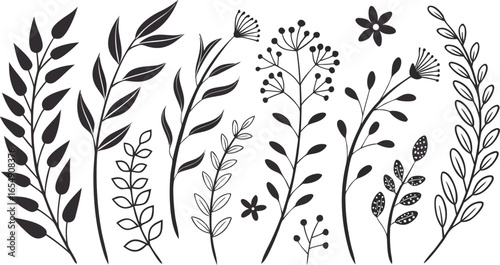 Minimal feminine botanical floral branch in silhouette style. hand drawn sketch branches set. Minimalist black silhouette vector illustration of assorted botanical elements arranged in rows.