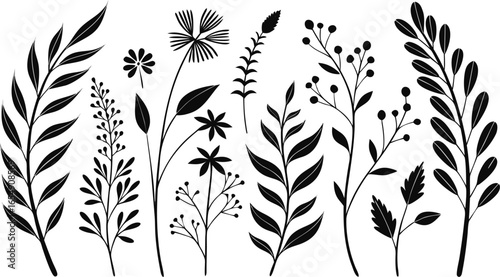 Minimal feminine botanical floral branch in silhouette style. hand drawn sketch branches set. Minimalist black silhouette vector illustration of assorted botanical elements arranged in rows.