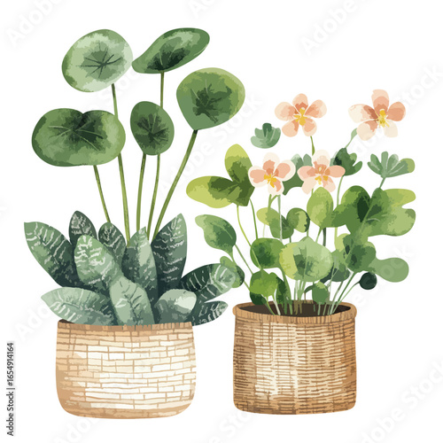 Watercolor Potted Plants Chinese Money Plant Snake Plant and Flowering Plant