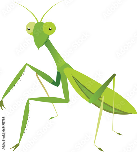 Detailed green praying mantis insect vector illustration in natural setting