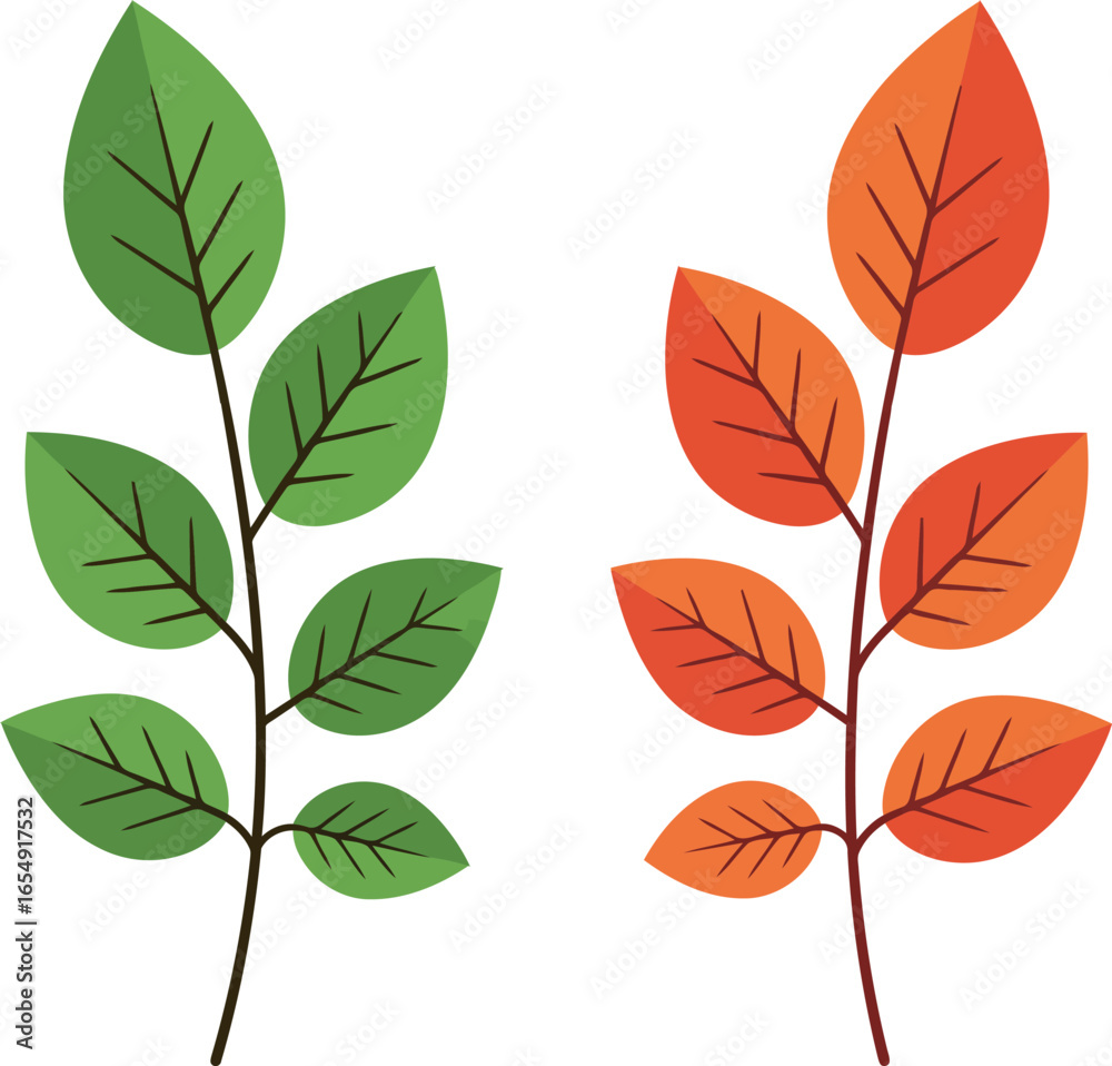 Obraz premium Two stylized branches with vibrant green leaves on one and warm orange and red autumn leaves on the other isolated on white