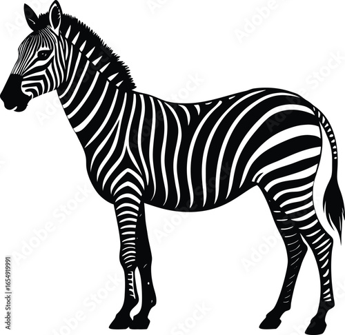 Zebra standing profile with black and white stripes vector illustration design on white background