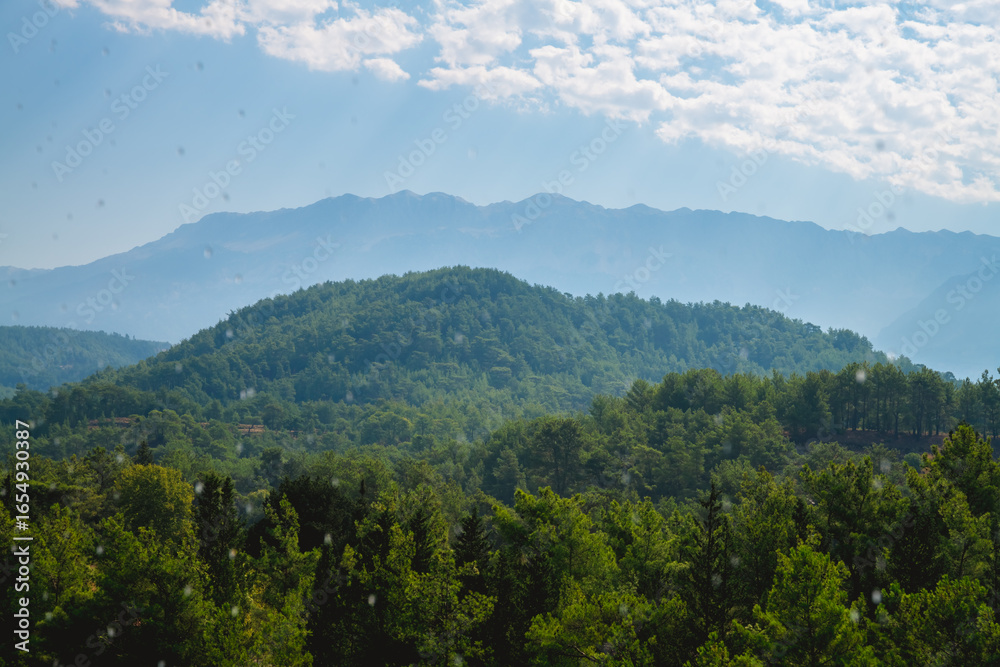 Fototapeta premium Scenic view showcasing a vast, lush forest covering rolling hills, set beneath a peaceful, cloudy sky, forming a tranquil and picturesque landscape filled with natural beauty