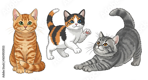 Vector Collection of Cute Cats. Funny cartoon cat character set isolated on white background. Cute sleeping, standing, walking, sitting, playing, dinking, stretching, sharpening claw. Vector 