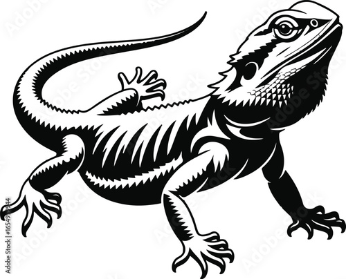 Bearded Dragon Lizard Vector Illustration in Black and White Silhouette