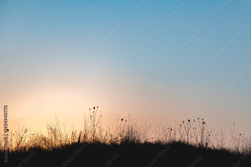 Fototapeta premium Wild grass silhouettes rising against a vibrant sunset sky, creating a serene and peaceful nature background filled with warm orange and yellow hues, offering ample copy space