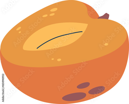 Half of ripe apricot fruit