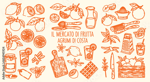 Fruit Market. Coastal Citrus. A rustic hand drawn vector illustration set of fresh lemons and oranges, spices, and homemade jam for artisanal food packaging, recipe cards, or a blog.