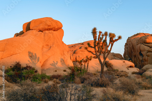 The rock formations at sunset. Jumbo rocks campground. Joshua Tree National Park