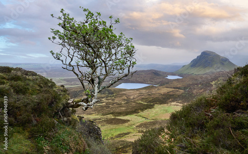 highland landscape in the Q...