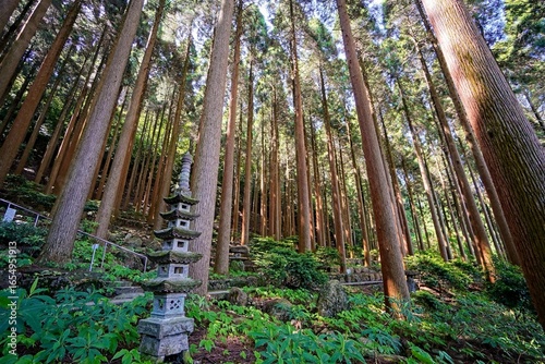 Kirishima Hotel - Cedar Garden, Kirishima, Japan
