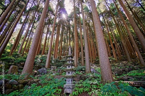 Kirishima Hotel - Cedar Garden, Kirishima, Japan