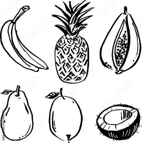 Black and white sketch illustration set of bananas and tropical fruits for design