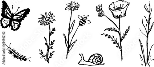 Hand drawn black and white nature elements featuring flowers and insects