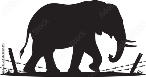 Elephant Silhouette Walking Past Barbed Wire Fence Symbolizing Wildlife Conservation