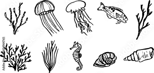 Hand-drawn marine life sketch collection featuring jellyfish, seahorse, and seaweed