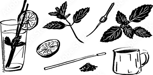 Black and white mojito sketch set - hand-drawn cocktail elements for design