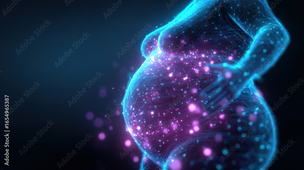 Naklejka premium Medical visualization of a pregnant woman's abdomen, highlighting fat metabolism and hormonal changes during pregnancy, providing insights into prenatal care and fetal development