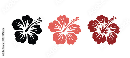 Hibicus flower vector set. Tropical hawaiian floral illustration for summer and beach design.