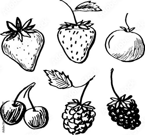 Black and white hand-drawn fruit sketch collection featuring strawberries, cherries, and berries