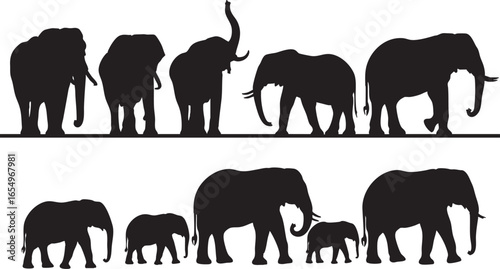 Elephant Family Silhouettes With Adult And Baby Elephants, elephant, elephants, family, adult, baby, calf, herd, animal, wildlife, silhouette, africa, savanna, jungle, nature, mammal, trunk, tusks, la