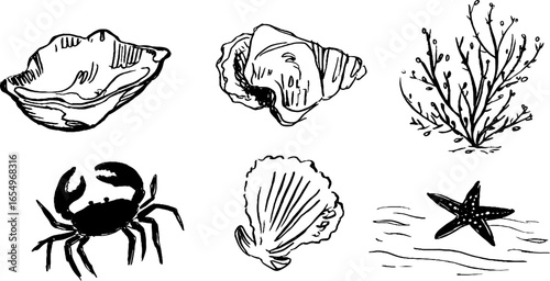 Black and white nautical sketch collection featuring sea creatures and shells