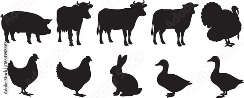 Farm animal silhouettes collection on white background, pig, cow, bull, turkey, chicken, hen, rooster, rabbit, bunny, goose, duck, farm, animal, livestock, domestic, agriculture, pet, poultry, bird, m
