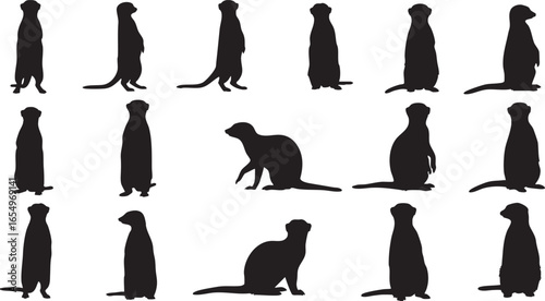 Meerkat silhouettes in various poses on white background, meerkat, suricate, animal, wildlife, silhouette, black and white, standing, sitting, alert, watchful, desert, africa, animal behavior, animal 