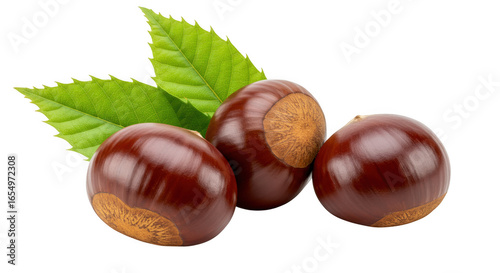 Three shiny brown horse chestnuts with green leaves isolated on transparent background