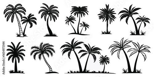 Assorted Black Silhouette Palm Trees on White Background Keywords: palm trees, silhouette, tropical, beach, island
