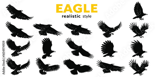 Collection of Silhouette Eagle Flying Poses Realistic Style Vector Graphics bird predator
